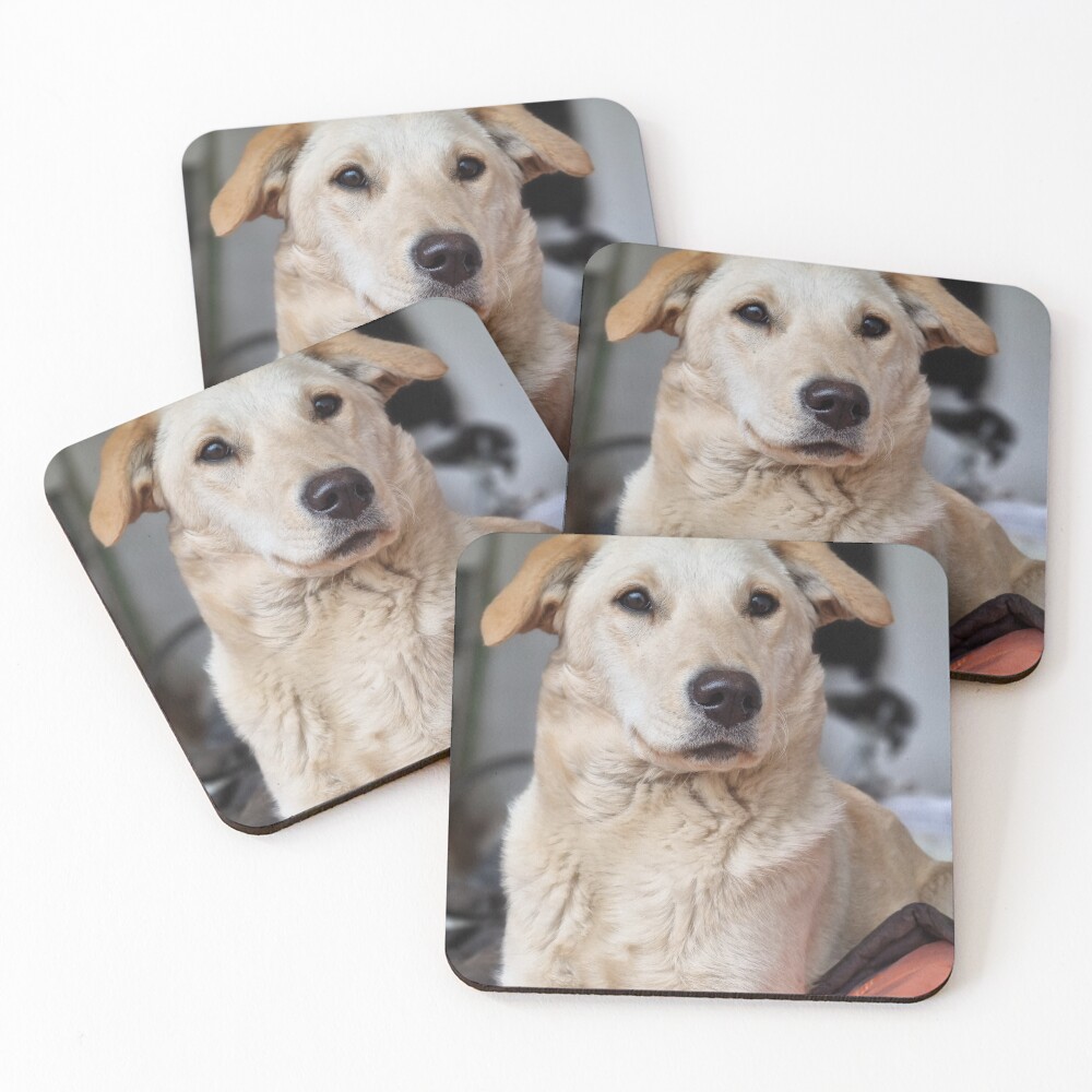Item preview, Coasters (Set of 4) designed and sold by codic123.