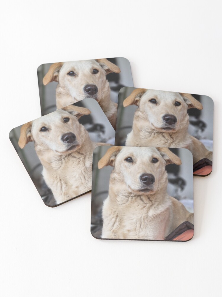 Thumbnail 1 of 5, Coasters (Set of 4), Dog L designed and sold by codic123.
