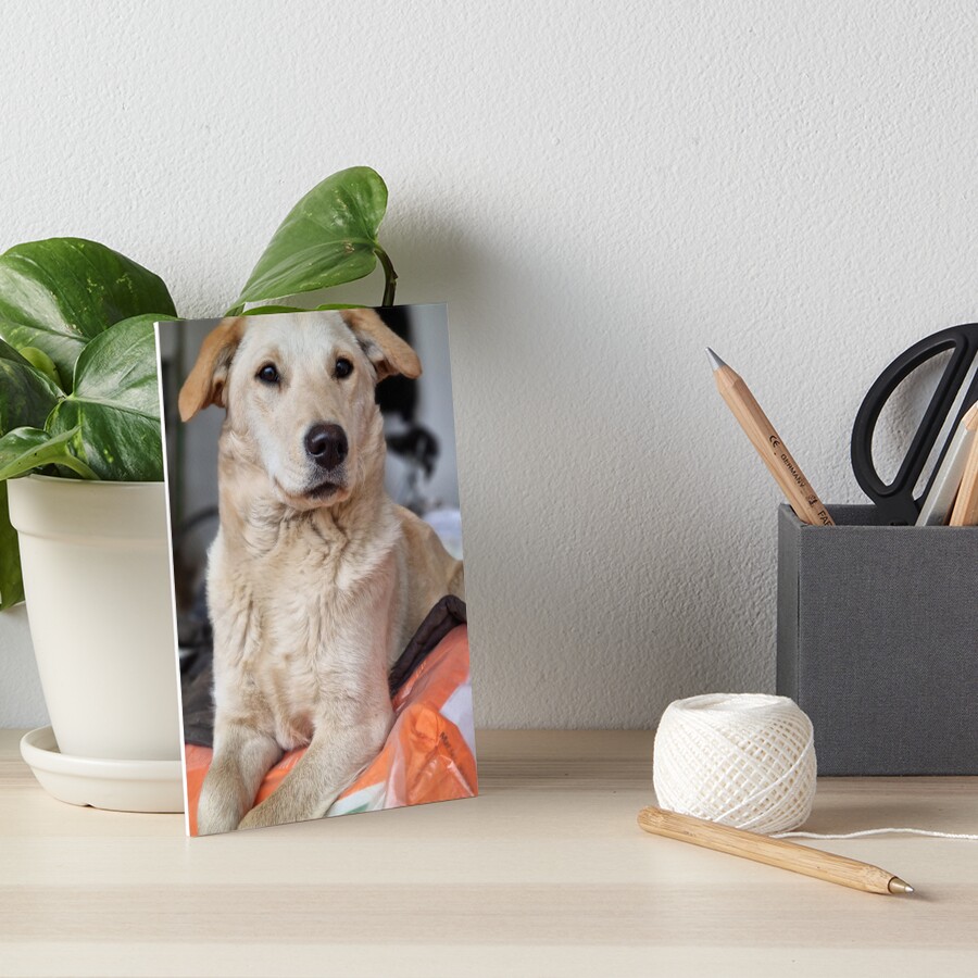 Item preview, Art Board Print designed and sold by codic123.