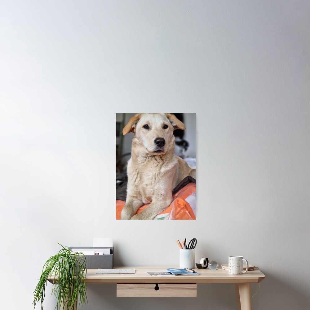 Item preview, Poster designed and sold by codic123.