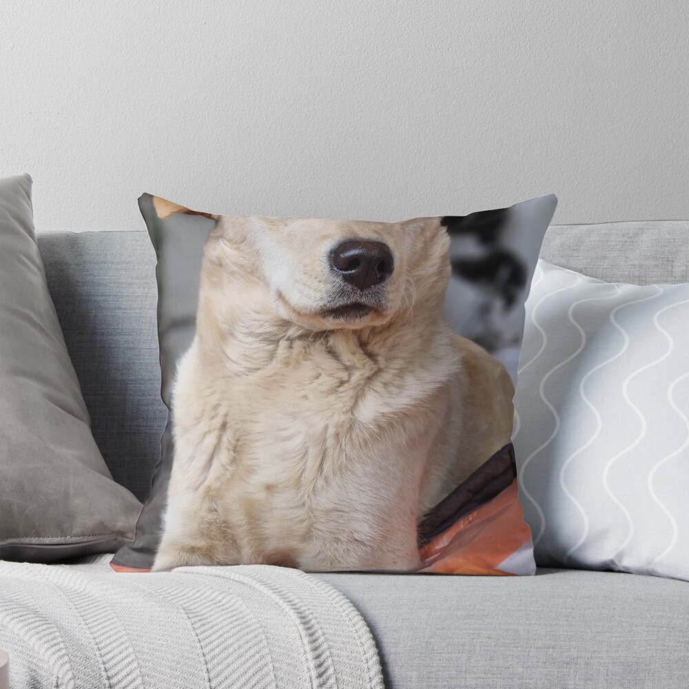 Item preview, Throw Pillow designed and sold by codic123.