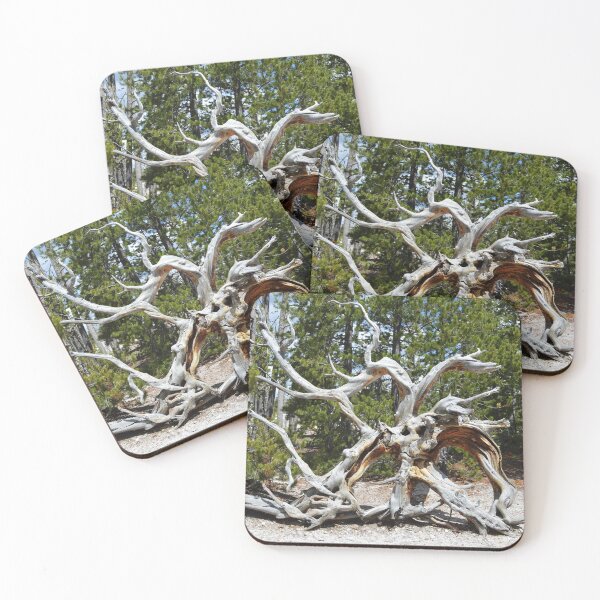 Item preview, Tangled Tree Roots designed and sold by nyahtowers.