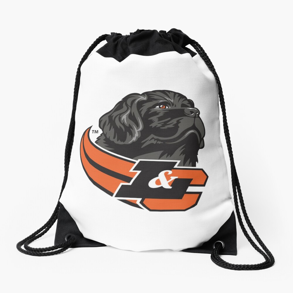 All Star Dogs:Colby-Sawyer Chargers Pet apparel and accessories