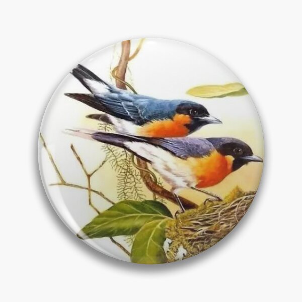 Item preview, Ingeniously painted bird pictures, lifelike. Picture 24 is so beautiful! designed and sold by zenger2021.