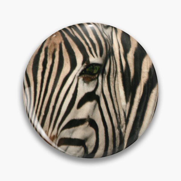 Item preview, Zebra Close Up on Safari in South Africa. designed and sold by KarenZuk.