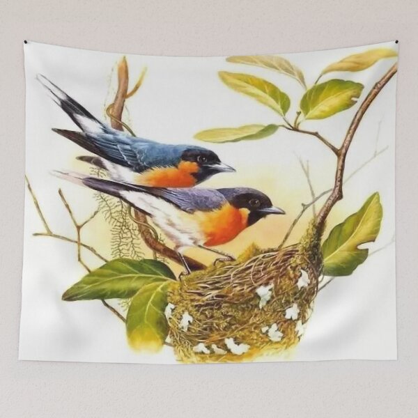 Item preview, Ingeniously painted bird pictures, lifelike. Picture 24 is so beautiful! designed and sold by zenger2021.