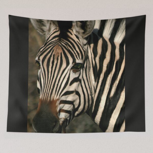 Item preview, Zebra Close Up on Safari in South Africa. designed and sold by KarenZuk.
