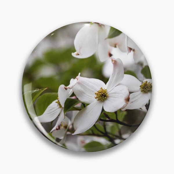Item preview, Dogwood blooms designed and sold by Moore Art.