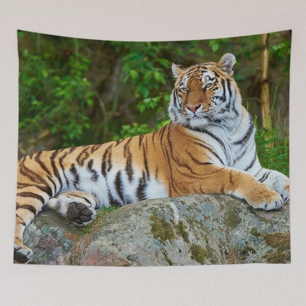 Item preview,  panoramic,panoramic wall art, panoramic canvas, Tapestries,Tapestry,throw blankets,tiger,animal, animals,tiger wall art,tiger artwork,tigers,wild,tiger art,tiger painting, designed and sold by eyesight4vision.