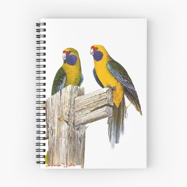 Item preview, Ingeniously painted one hundred bird picture, true to life picture 25 is so beautiful! designed and sold by zenger2021.