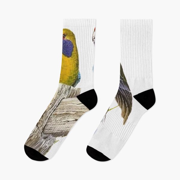 Item preview, Ingeniously painted one hundred bird picture, true to life picture 25 is so beautiful! designed and sold by zenger2021.