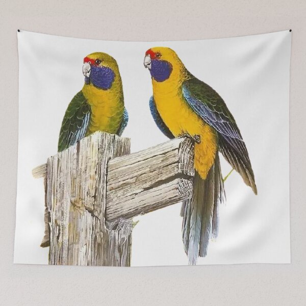 Item preview, Ingeniously painted one hundred bird picture, true to life picture 25 is so beautiful! designed and sold by zenger2021.