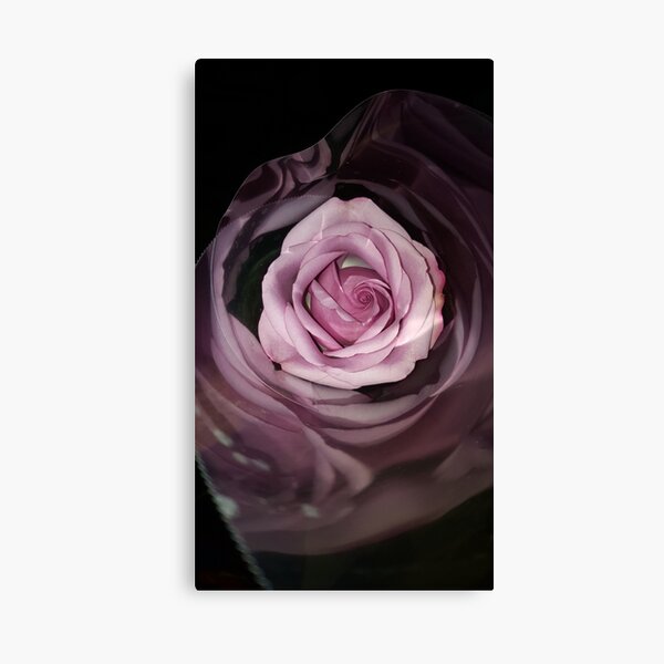 Untitled Canvas Print