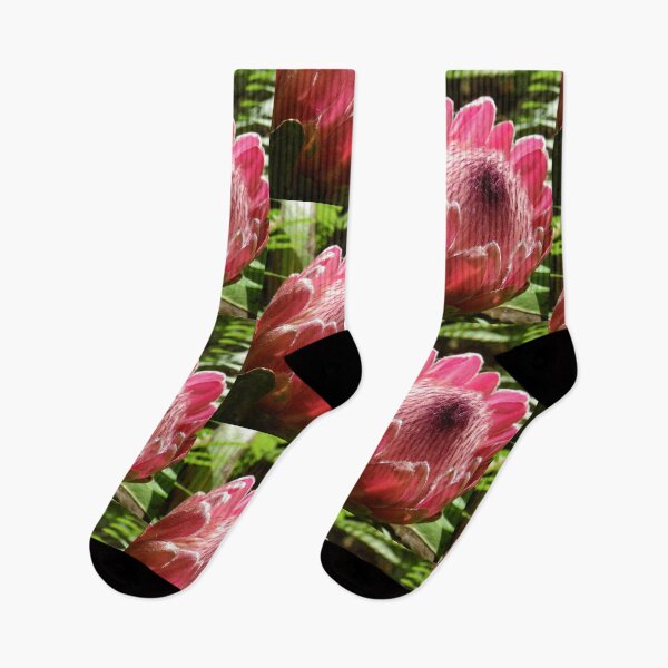 Item preview, Protea, Nueva Gales del Sur, Australia designed and sold by Cobargo South Coast.