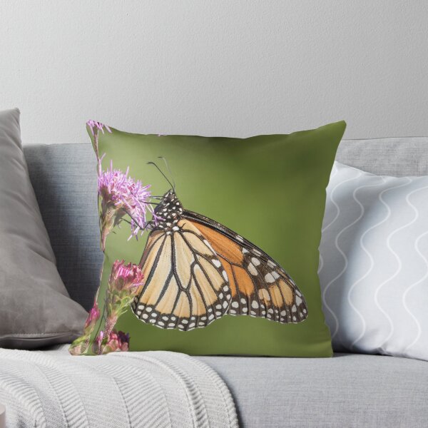 Item preview, Monarch 2016-2 designed and sold by Thomasyoung.