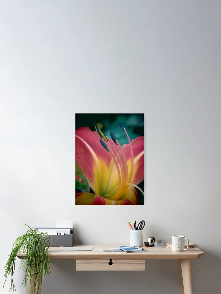 Thumbnail 2 of 3, Poster, High Five designed and sold by shutterbug2010.