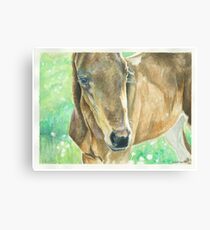 Abloom Canvas Print