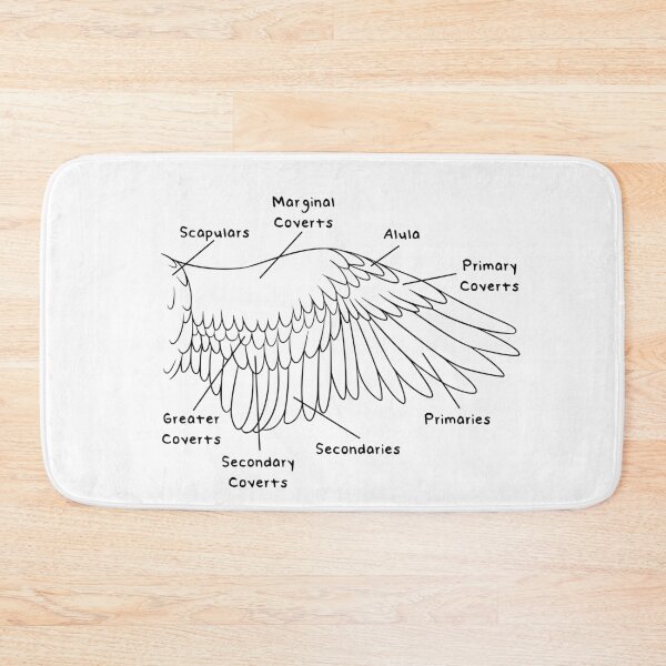 Item preview, Avian Feathers (Labeled) designed and sold by peltigaan.