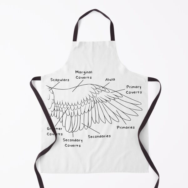Item preview, Avian Feathers (Labeled) designed and sold by peltigaan.