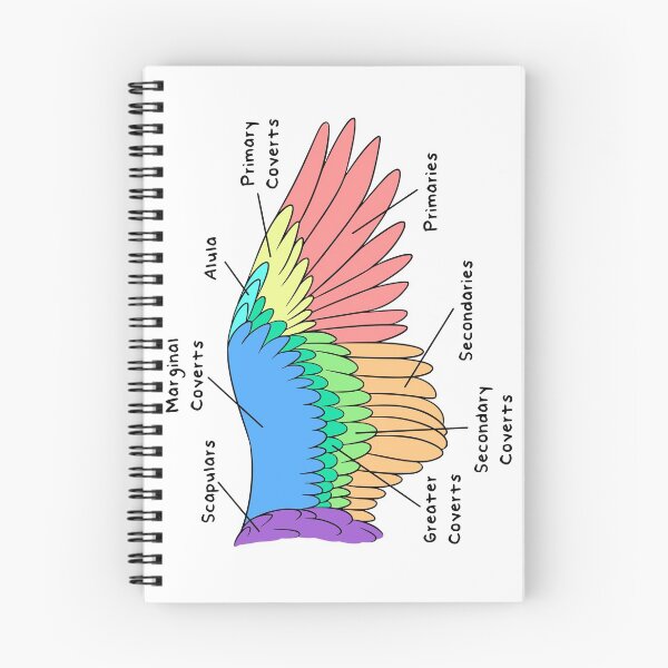 Item preview, Avian Feathers (Colored & Labeled) designed and sold by peltigaan.
