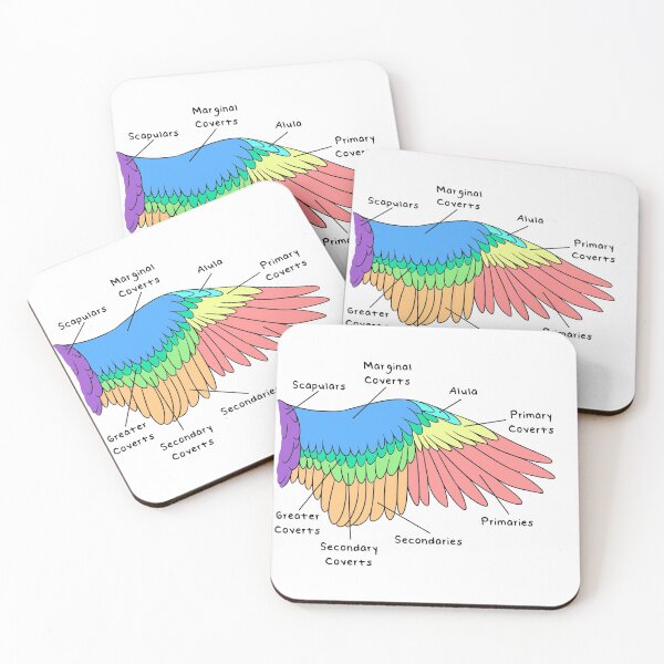 Item preview, Avian Feathers (Colored & Labeled) designed and sold by peltigaan.
