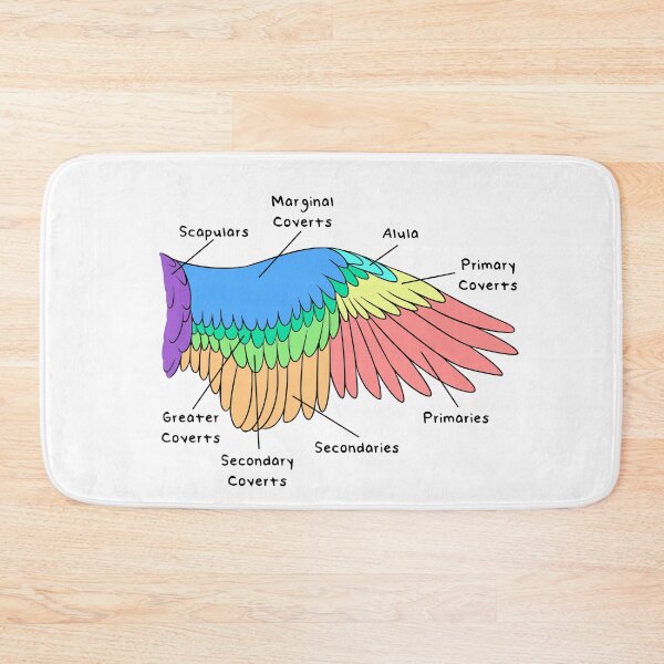 Item preview, Avian Feathers (Colored & Labeled) designed and sold by peltigaan.