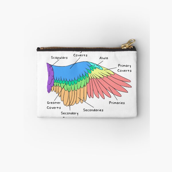 Item preview, Avian Feathers (Colored & Labeled) designed and sold by peltigaan.