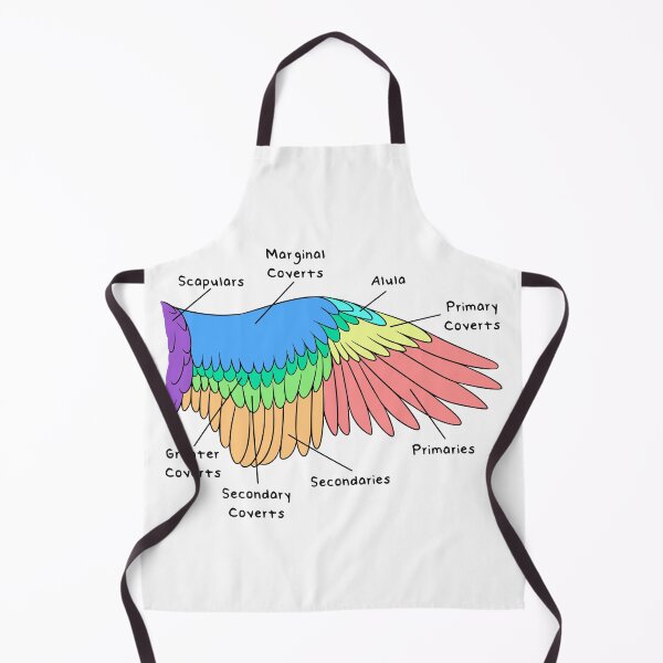 Item preview, Avian Feathers (Colored & Labeled) designed and sold by peltigaan.