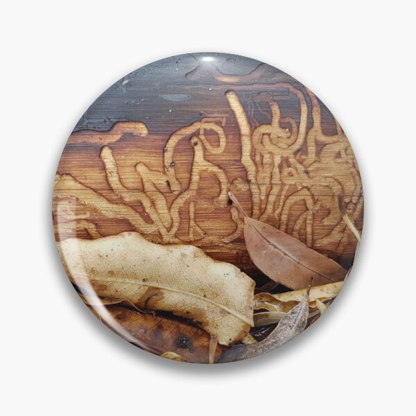 Item preview, 2019-2020 Bushfires, Bega Valley, NSW, Australia designed and sold by Cobargo South Coast.