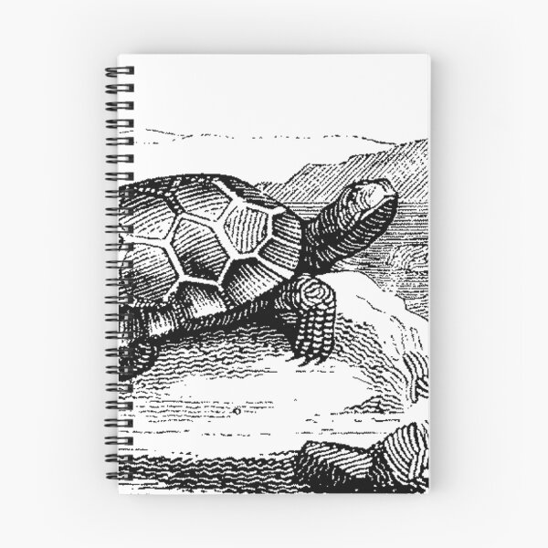 Item preview, Tortuga  designed and sold by Quill-n-Ink.