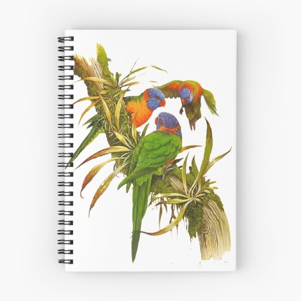Item preview, Ingeniously painted bird pictures, lifelike. Picture 28 is so beautiful! designed and sold by zenger2021.