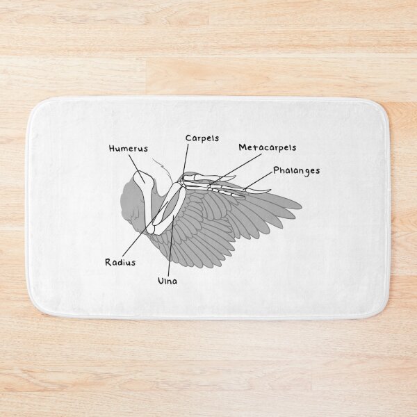 Item preview, Velociraptor Bones (Labeled) designed and sold by peltigaan.