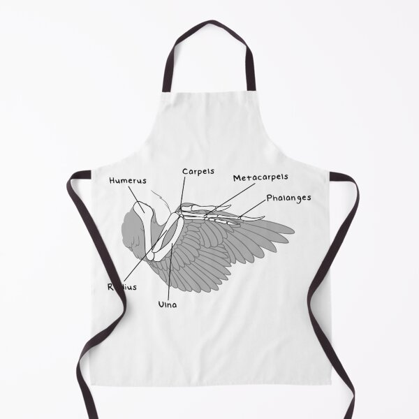 Item preview, Velociraptor Bones (Labeled) designed and sold by peltigaan.