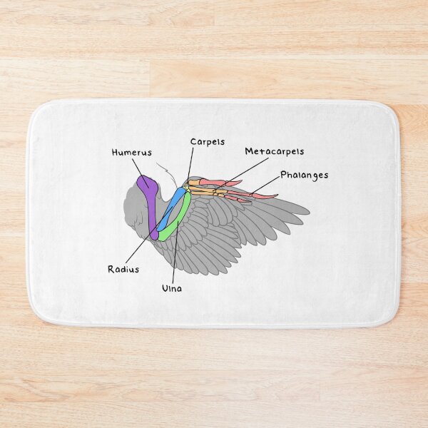 Item preview, Velociraptor Bones (Colored & Labeled) designed and sold by peltigaan.