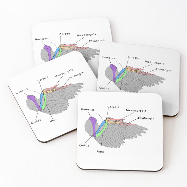 Item preview, Velociraptor Bones (Colored & Labeled) designed and sold by peltigaan.