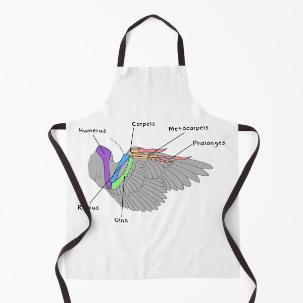 Item preview, Velociraptor Bones (Colored & Labeled) designed and sold by peltigaan.