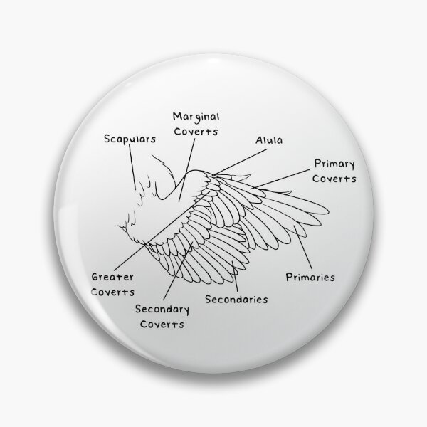Item preview, Velociraptor Feathers (Labeled) designed and sold by peltigaan.
