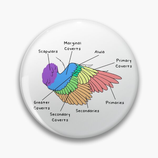 Item preview, Velociraptor Feathers (Colored & Labeled) designed and sold by peltigaan.