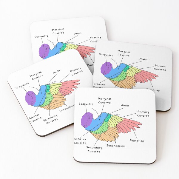 Item preview, Velociraptor Feathers (Colored & Labeled) designed and sold by peltigaan.