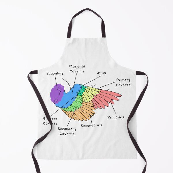 Item preview, Velociraptor Feathers (Colored & Labeled) designed and sold by peltigaan.