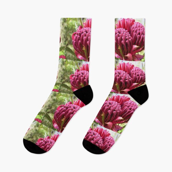Item preview, Waratah Flower, Telopea. NSW, Australia designed and sold by Cobargo South Coast.