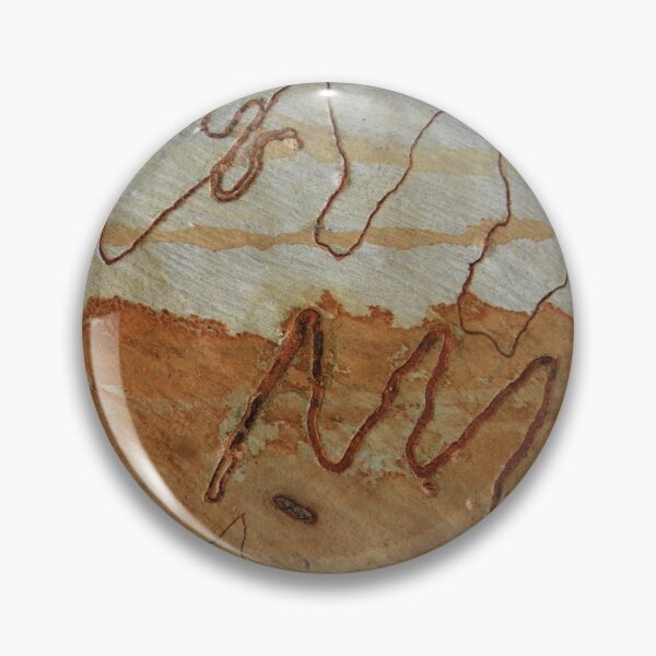 Item preview, Scribbly Gum, Eucalyptus haemastoma. Scribbles made by scribbly gum moth larvae. designed and sold by Cobargo South Coast.