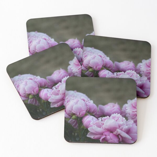 Artikelvorschau, Blumenbeet entworfen und verkauft von kamrynkavanagh.
