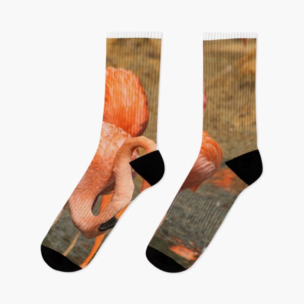 Item preview, Orange Caribbean flamingos at the zoo  designed and sold by FranWest.