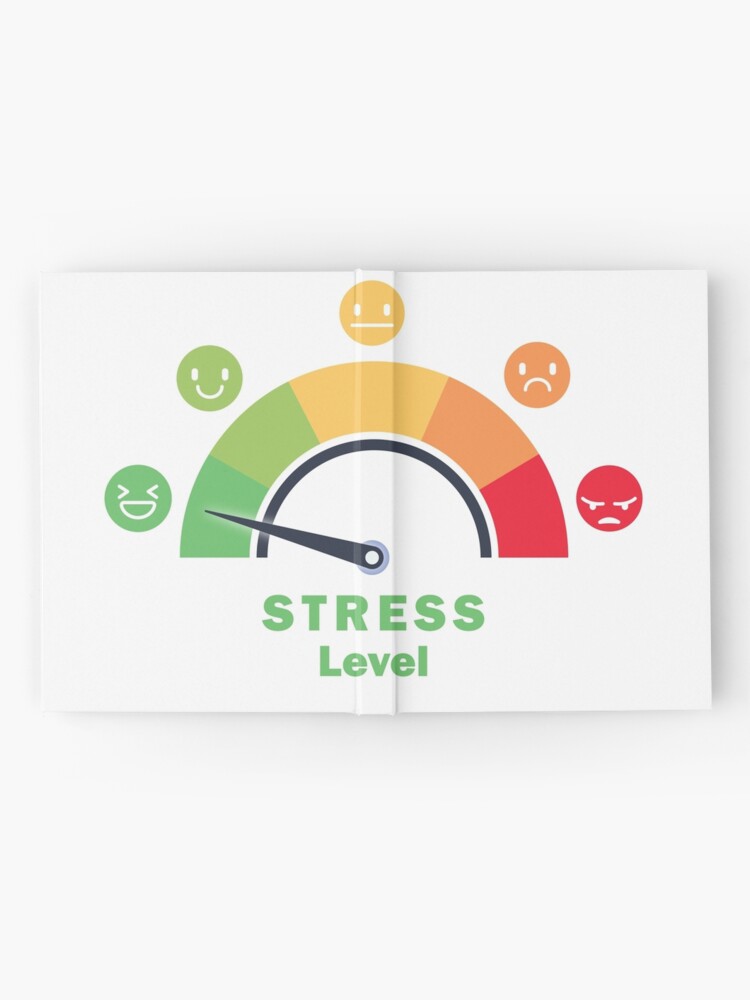 Is Your Stress Level Helping or Hurting You - Pine Rest Newsroom