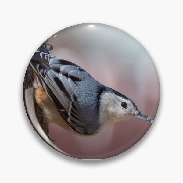 Item preview, White Breasted Nuthatch designed and sold by twinroses.