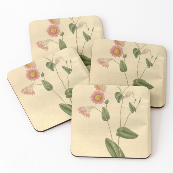 Item preview, Curtis's botanical magazine (Plate 3483) (8043245470) designed and sold by EsotericBotanic.