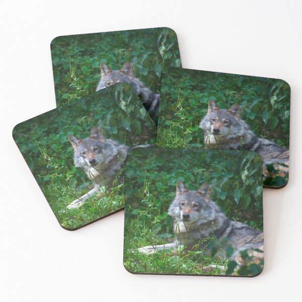 Item preview, Wolf in the Forest designed and sold by Daniela Pintimalli.