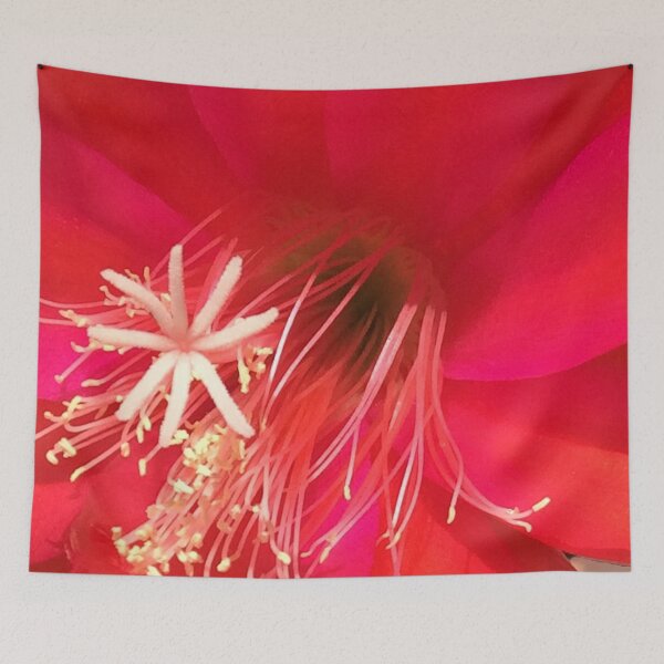 Item preview, Red Cactus Flower designed and sold by Margaret Stevens.