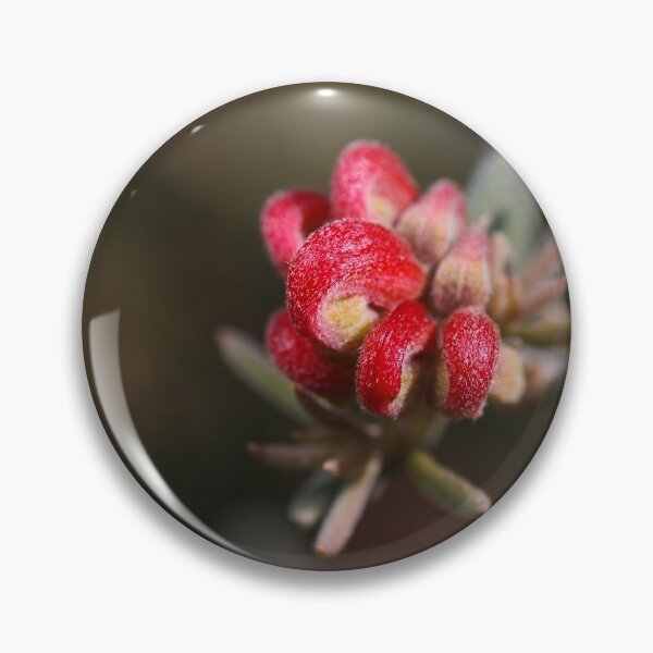 Item preview, Grevillea Flower In Fireworks  designed and sold by Joy Watson - Natural Light Photography .